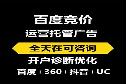 SEM服务优势案例分享